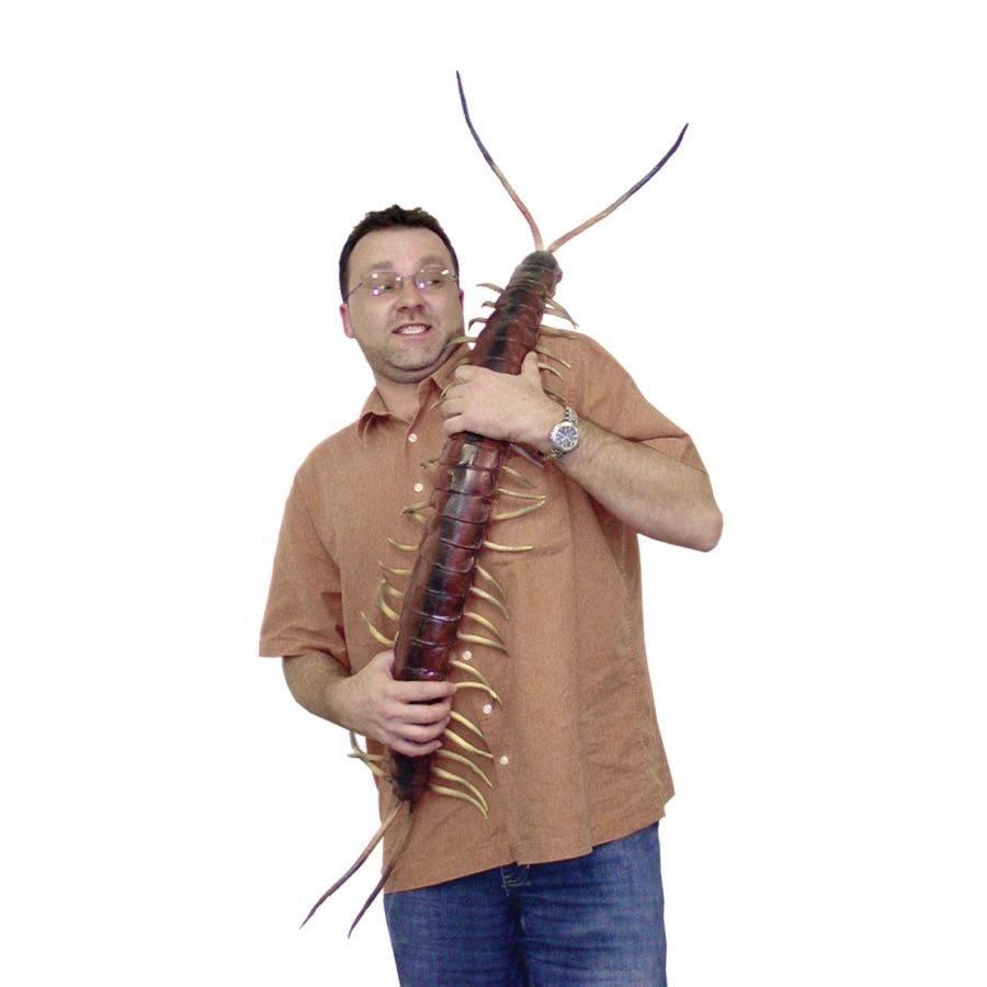 Giant Centipede